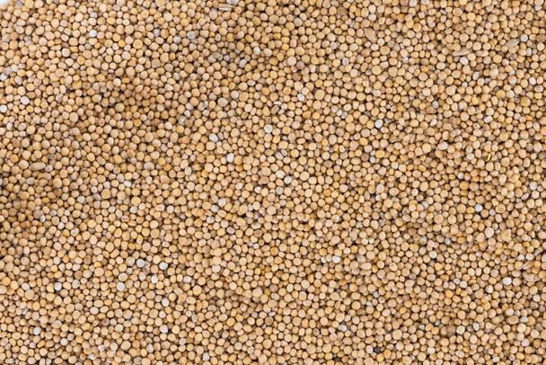Mustard Seeds (background) - Fotoğraf, Görsel