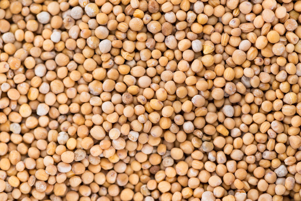 Mustard Seeds (background) - Zdjęcie, obraz