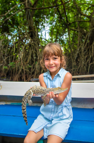 Дитина тримає маленьку крокодила в руках. Вибірковий фокус. природа
. - Фото, зображення