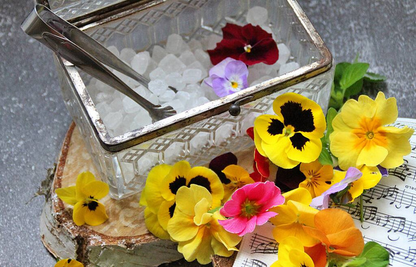vágott üvegkoporsó, szüreti koporsó fehér cukorkristályokkal, cukorcsipesszel, színes tavaszi árvácskákkal és zenei jegyekkel - Fotó, kép