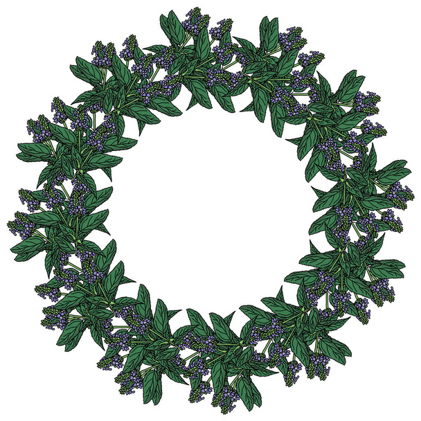 Травяной венок с фиолетовыми маленькими цветами и сочными зелеными лепнинами, декоративная круглая рамка векторной иллюстрации цветущих веток - Вектор,изображение
