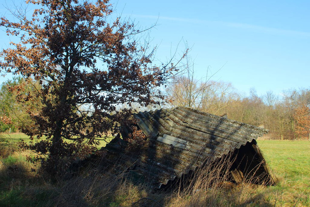 Un ancien abri de bétail en bois avec un toit en amiante s'est effondré. Dans un paysage hivernal à la campagne - Photo, image