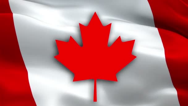 Canada flag. video waving in wind. Realistic Canadian Flag background. Red maple leaf flag Closeup 1080p HD video. Ottawa 1080p Full HD 1920X1080 footage video waving.Canada seamlessly looping footage - Footage, Video