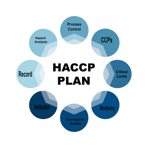 Diagrammkonzept mit HACCP-Plan-Text und Schlüsselwörtern. EPS 10 isoliert auf weißem Hintergrund - Vektor, Bild