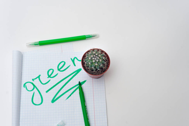 Green markers, cactus and squared paper with the words "green". - Photo, Image