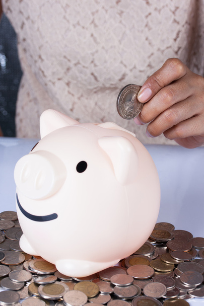 Hand put coin into a piggy bank - Photo, Image