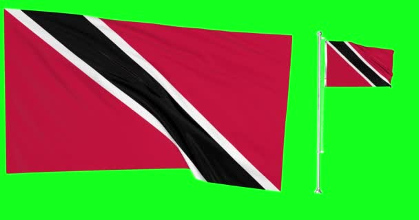 Зеленый экран Тринидад и Тобаго два флага, размахивающих тринидадским тобагонским флагполем - Кадры, видео