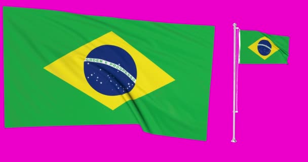 Πράσινη οθόνη βρόχο της Βραζιλίας δύο σημαίες κυματίζει Βραζιλίας animation 3d - Πλάνα, βίντεο