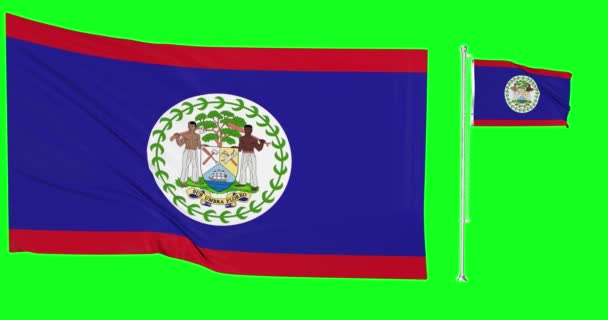 Zielony ekran Belize dwie flagi machając belizean flaga animacja 3d chroma klucz - Materiał filmowy, wideo