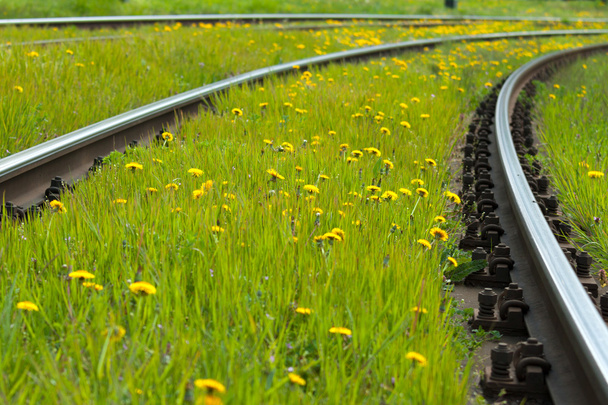 bloemen tracks - Foto, afbeelding