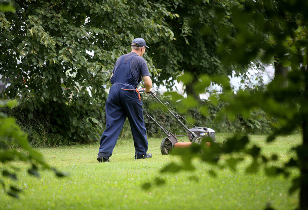 Adam geri döndü, kırmızı çim biçme makinesiyle ot kesiyor. Bahçe işleri ve peyzaj konsepti. 08 17 2017 - Fotoğraf, Görsel