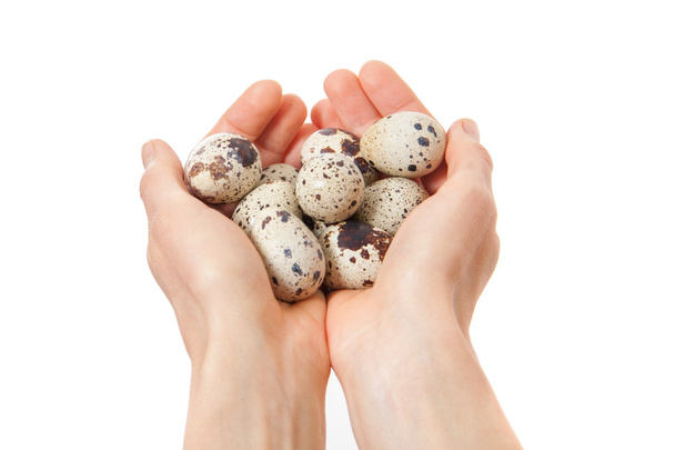 Quail eggs in hands isolated on white - Photo, Image