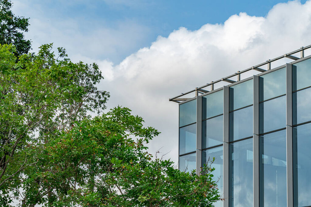 Prachtig bovendeel van modern glazen gebouw met grote boom opzij, achtergrond van blauwe lucht en wolken. Concept voor bedrijfsgebouwen. - Foto, afbeelding