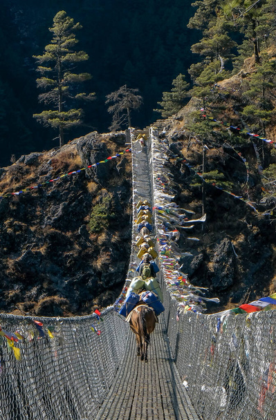 Ανάρτηση γέφυρας με βουδιστικές σημαίες προσευχής και γαϊδούρια με προμήθειες που διασχίζουν τη γέφυρα - Φωτογραφία, εικόνα