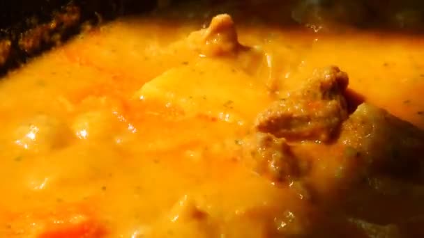 Faire bouillir le curry Kari en pot, nourriture indienne. - Séquence, vidéo