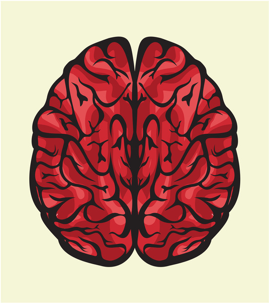 Mózg ludzki - Wektor, obraz