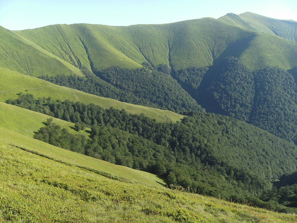 A beautiful mountain hills in Transcarpathian region. - Photo, Image
