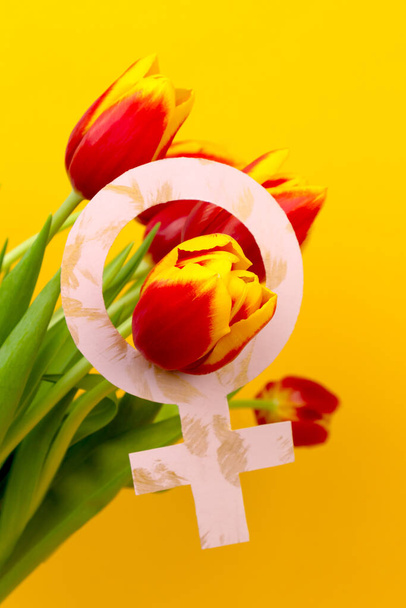 Mart kadın tarihinin ayıdır. Bir buket sarı-kırmızı lale ve bir kadın işareti. - Fotoğraf, Görsel