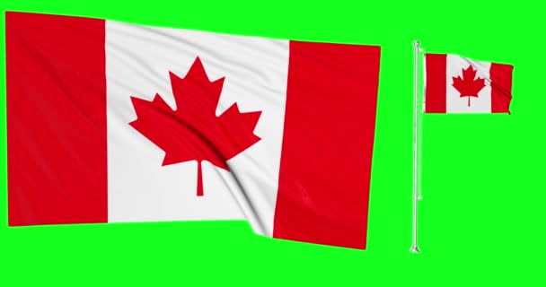 Канада Анимация два флага Зеленый экран канадский флагшток 3d - Кадры, видео