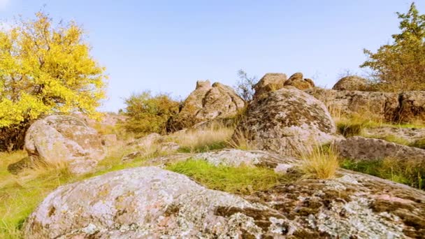 Strom je oblečen do podzimního oblečení. Kaňon Aktovsiy, Ukrajina. Podzimní stromy a velké kamenné balvany kolem. Live video - Záběry, video