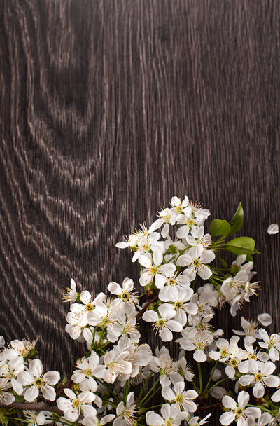 весняні квіти на темному дерев'яному фоні
 - Фото, зображення