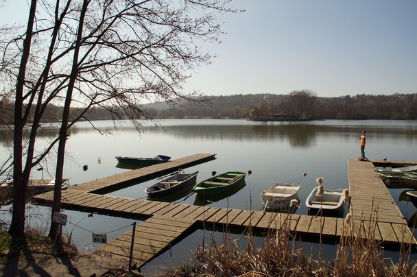 Lago con botes de paddle y cañas - Foto, Imagen
