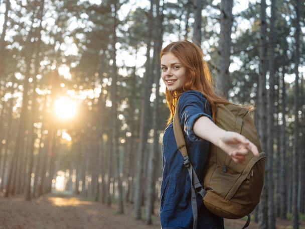Traveler with a backpack at sunset in a pine forest - Foto, immagini