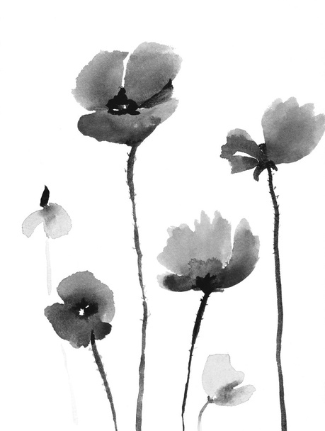 Cute floral background. Watercolor poppies - Foto, afbeelding