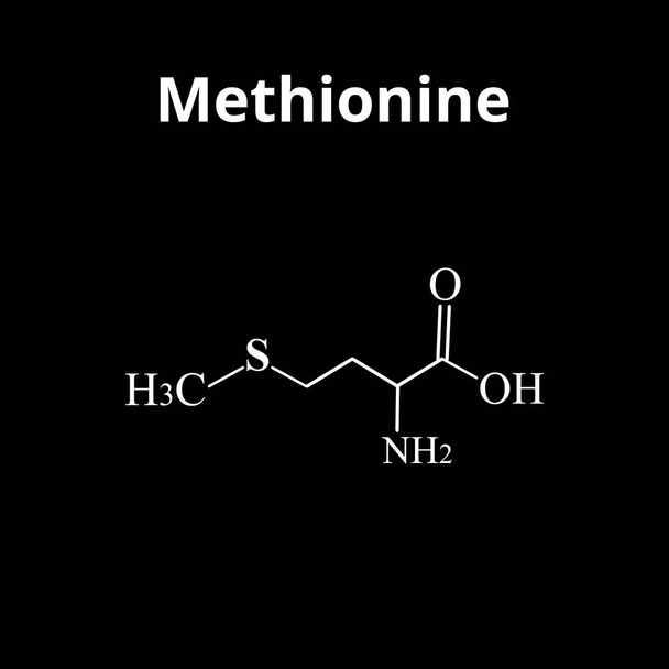 Metioniini on aminohappo. Metioniiniaminohapon kemiallinen molekyylikaava. Vektorin kuva eristetyllä taustalla - Vektori, kuva