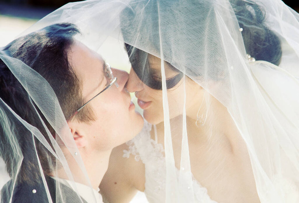 όμορφη νύφη με πέπλο και νυφικό - Φωτογραφία, εικόνα