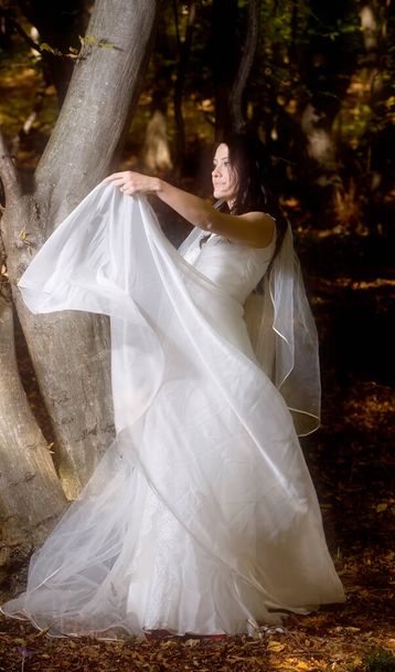 krásná nevěsta v bílých šatech v parku - Fotografie, Obrázek
