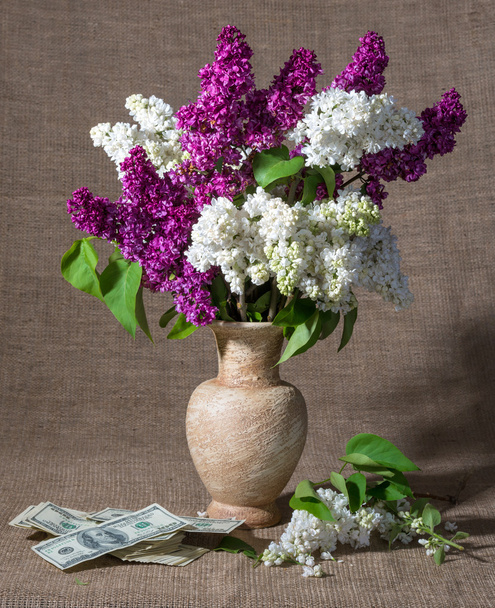 Blooming branches of lilac in vase and dollars - Photo, Image