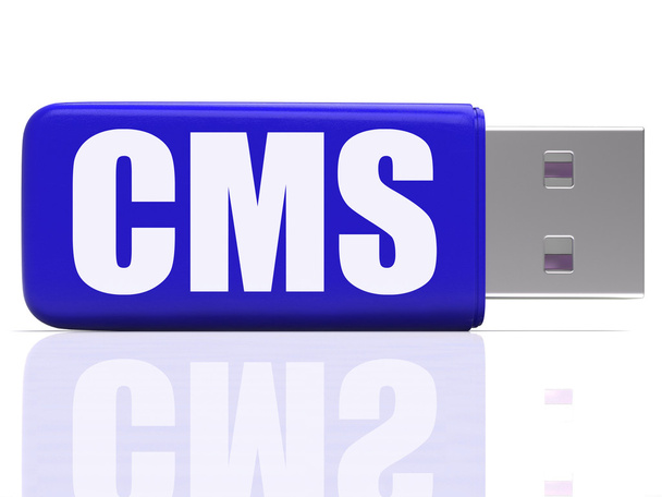 CMS pen drive znamená obsah optimalizace nebo datového přenosu - Fotografie, Obrázek