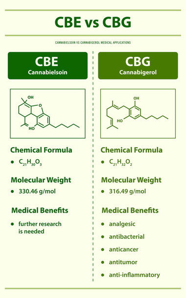 CBE vs CBG, Cannabisoin vs Cannabigerol vertikális infographic illusztráció a kannabisz, mint gyógynövény alternatív gyógyászat és kémiai terápia, egészségügyi és orvostudományi vektor. - Vektor, kép