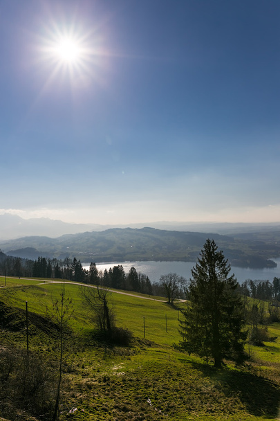 View to Zugersee ans Swiss Alps from Zugerberg, Central Switzerland - Photo, Image