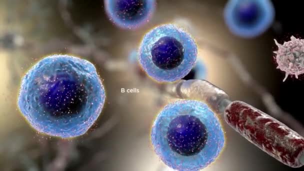 Cellule Helper-T e cellule B che interagiscono tra loro combattendo e trasferendo un virus l'uno all'altro con cellule helper-T sfuocate su sfondo blu - Filmati, video
