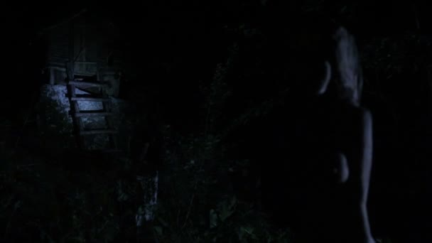 V noci, turista s baterkou v lese hledá dřevěný dům - Záběry, video