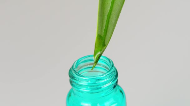 De druppel rolt van het groene blad en druipt direct in de fles of fles. - Video