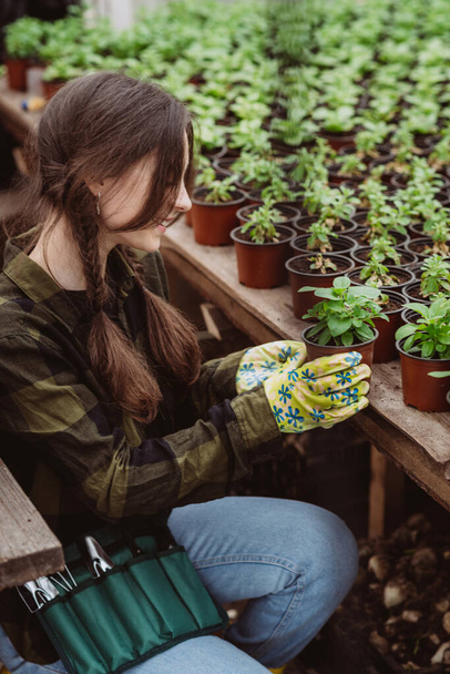 Una donna giardiniere in guanti di gomma sta piantando piantine di fiori in una pentola con uno strumento da giardino. Concentrazione selettiva morbida, sfocatura. Rumore artistico. - Foto, immagini