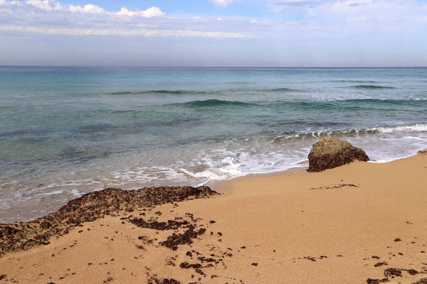 a Földközi-tenger sziklás partja Izrael állam északi részén  - Fotó, kép