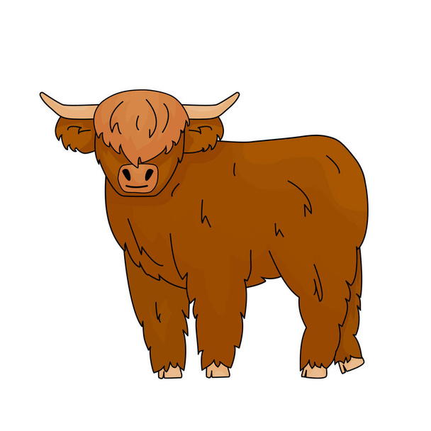 Cute Cartoon vector outline doodle illustration of small Bull Scottish highland cow kid. Isolated Animal stands on the ground on white background. Front view with horns - Vektor, kép