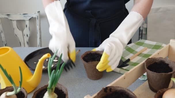 Een vrouwelijke boer plant groentezaden in kleine bloempotten met haar eigen handen. Het concept van biologische landbouw en voorjaarstuinbouw. Voorbereiding voor het planten van zaailingen in het voorjaar in de grond - Video