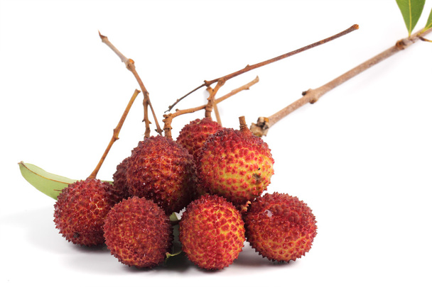 Group of Lychee  - Photo, Image