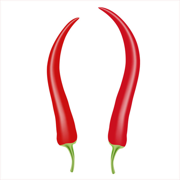 Vektorová realistická ilustrace červené chilli papričky. Izolované na bílém pozadí. Design pro potraviny - Vektor, obrázek
