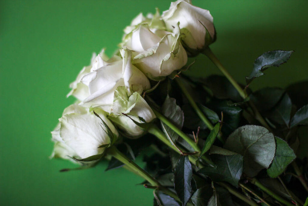 Μπουκέτο με λευκά τριαντάφυλλα σε πράσινο φόντο φωτογραφήθηκε από κοντά - Φωτογραφία, εικόνα