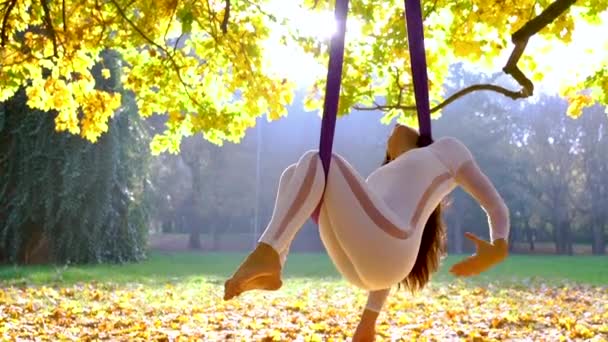 Krásná atletická mladá žena dělá vzduch jóga na houpací síti v přírodě, komplexní akrobatické cvičení v parku.Fit dívka změny pózuje ve vzduchu, cvičení a dýchání na slunci. - Záběry, video