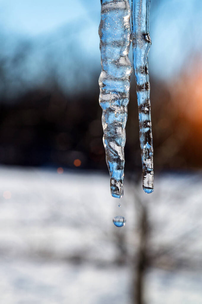 Pendurado gelo icicles com gotas de água ao pôr do sol, simbolizando a vinda da primavera - Foto, Imagem