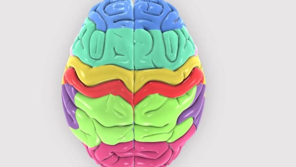 Płat mózgu w głowie - Materiał filmowy, wideo