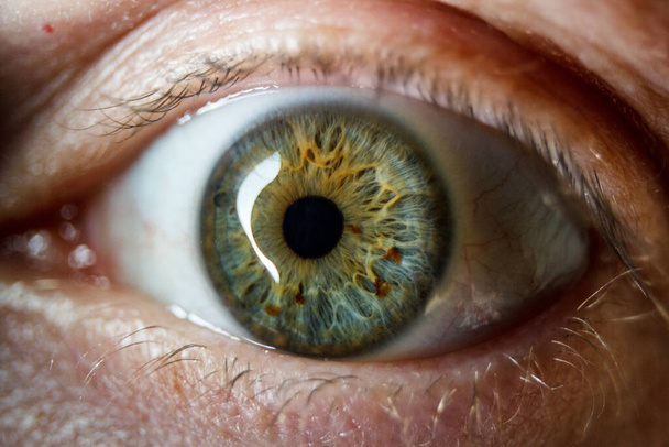 O tiro de perto do olho humano. O olho humano é um órgão sensorial emparelhado que reage à luz e permite a visão. - Foto, Imagem