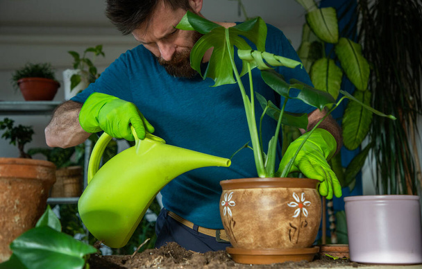 Человек сажает комнатные растения в помещении дома садоводства - Фото, изображение